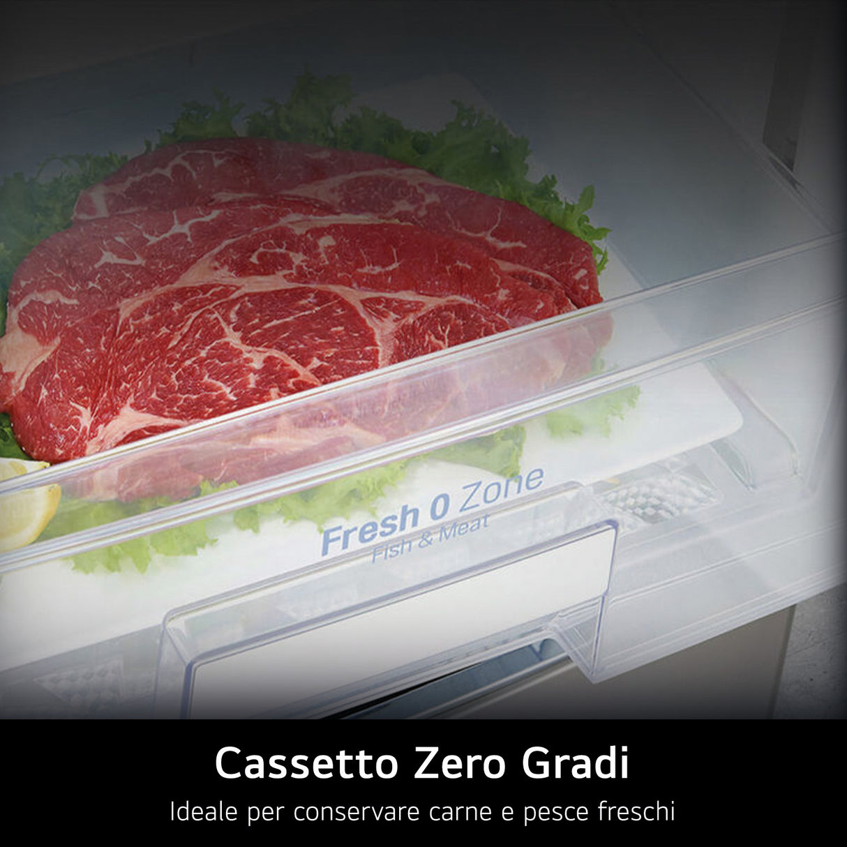 LG GTBV44PYBKD Frigorifero doppia porta 70cm, Classe E, 461L, Door & Linear Cooling, Argento