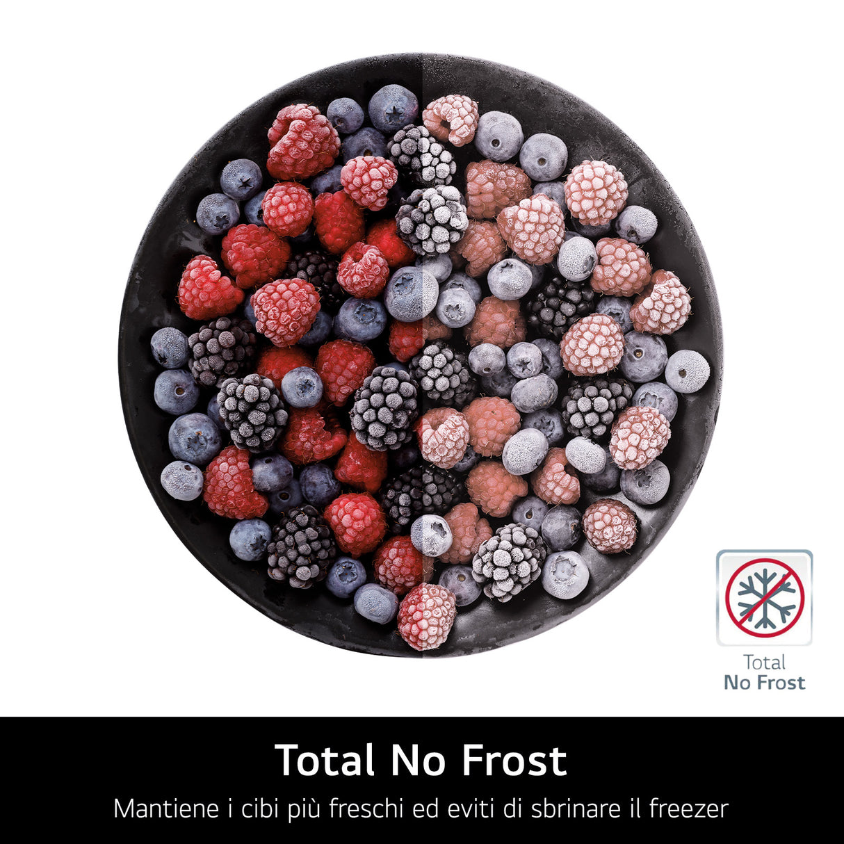 LG GBV5240DPY Frigorifero combinato, Classe D, 387L, Fresh Converter, Total no frost, Argento