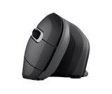 Trust Verro mouse Ufficio Mano destra RF Wireless Ottico 1600 DPI