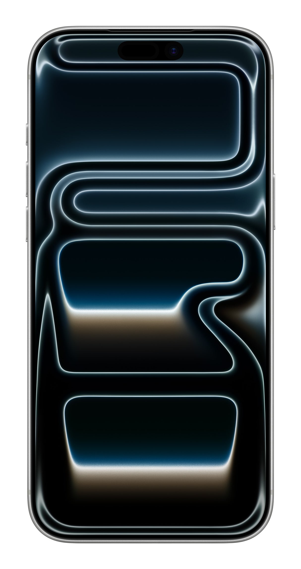 0195950638813