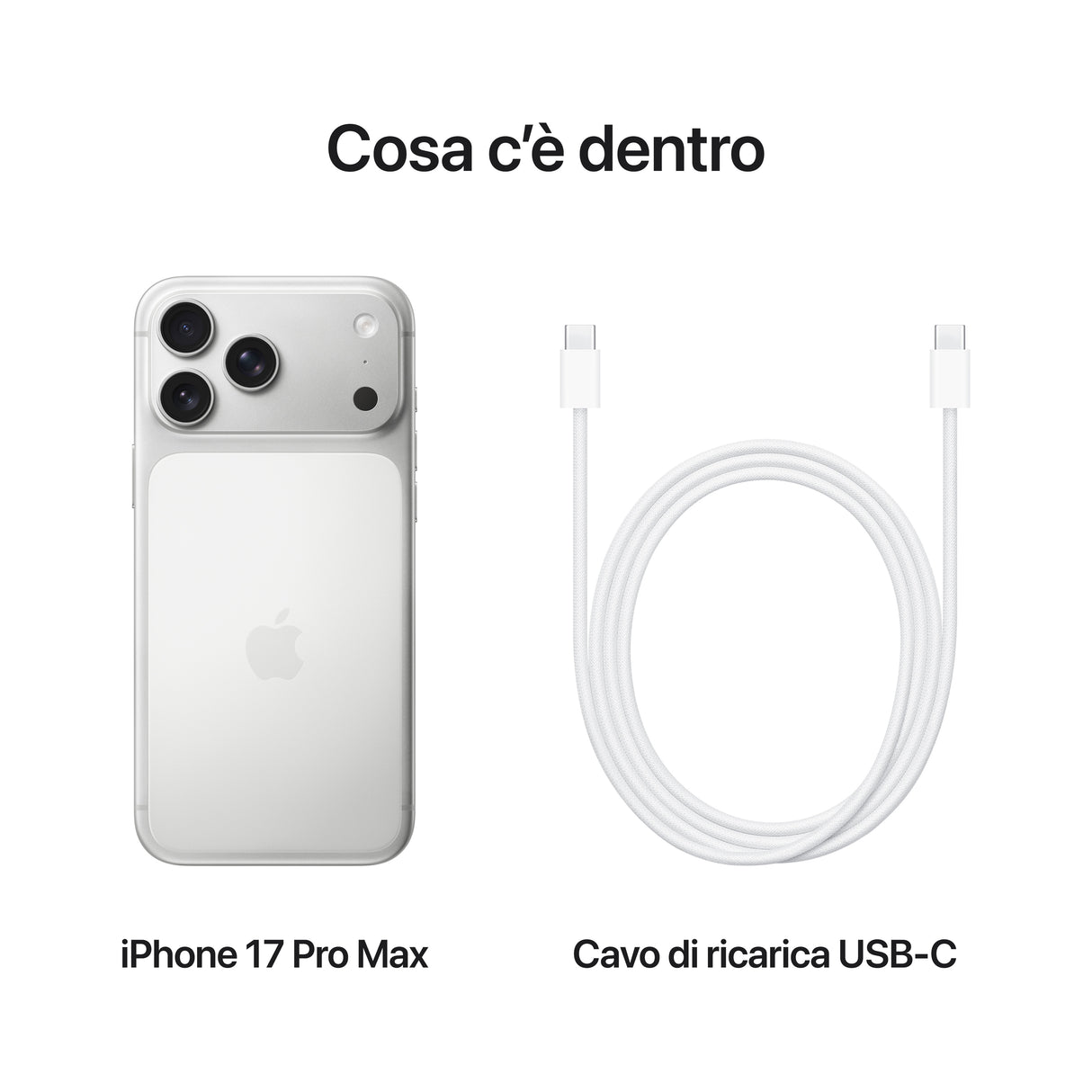 0195950638813