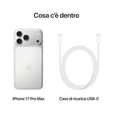 0195950638813