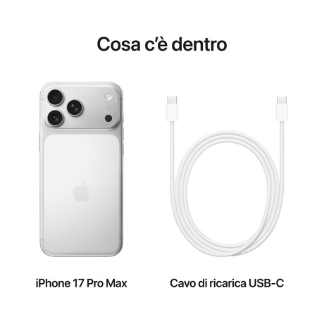 0195950638813