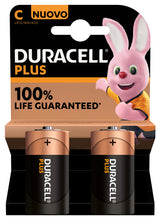 Duracell Plus 100 C B2 x10