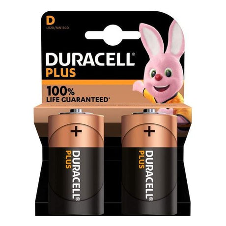 Duracell Plus 100 D B2 x10