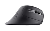 Trust Verro mouse Ufficio Mano destra RF Wireless Ottico 1600 DPI