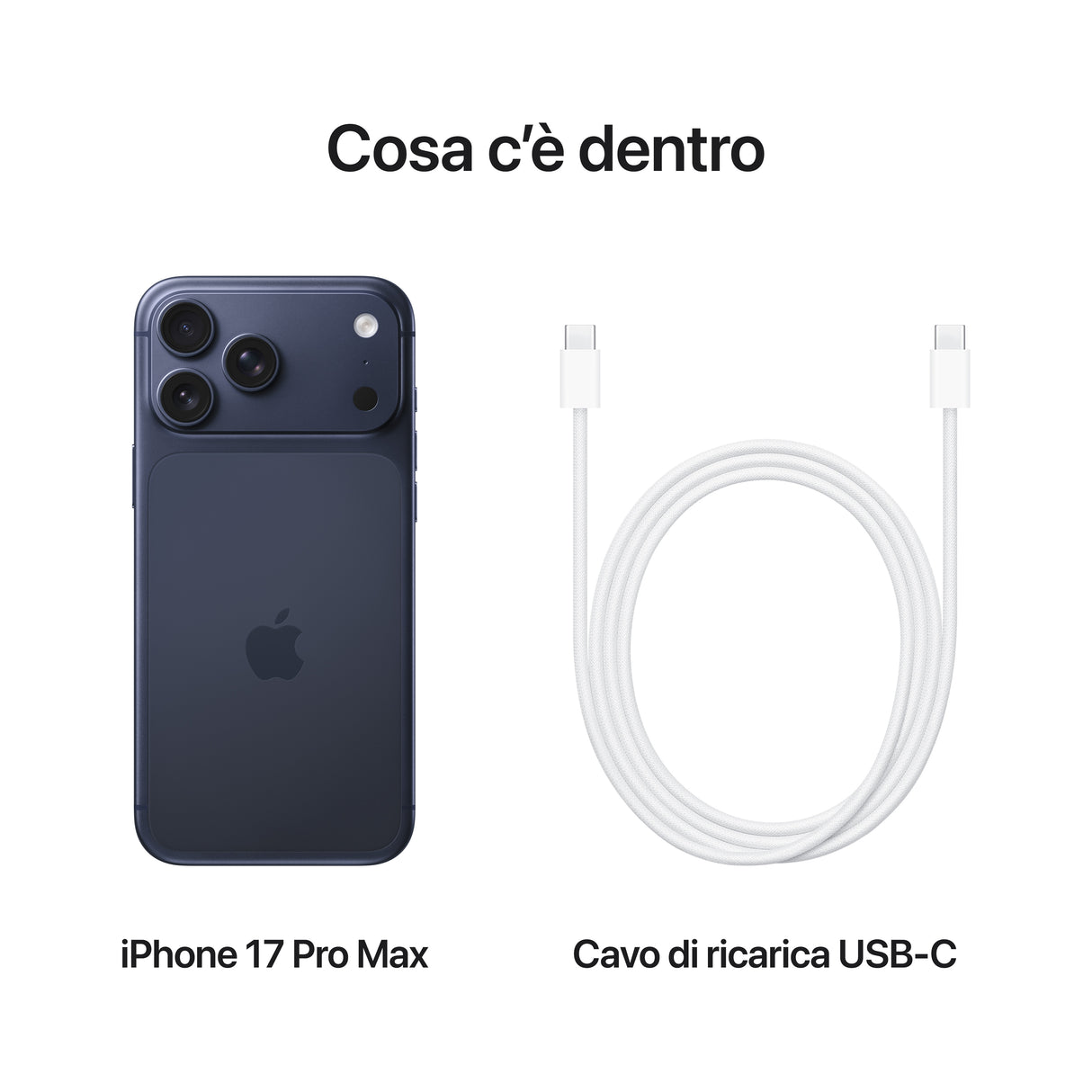 0195950639216